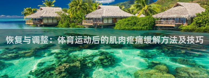 捷豹足球鞋