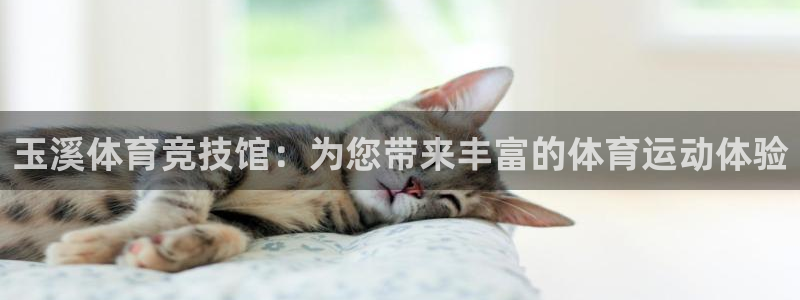 捷豹足球篮球直播