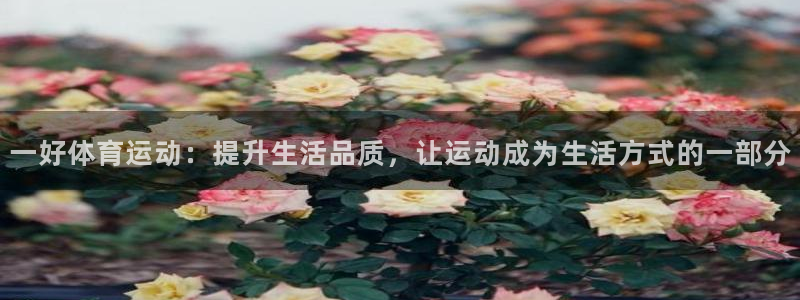 捷豹足球俱乐部：一好体育运动：提升生活品质，让运动成为生活方式的一部分