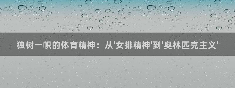 捷豹足球及时比分