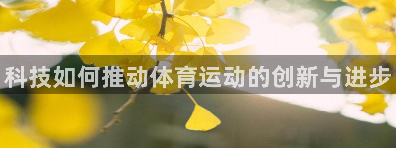 捷豹足球