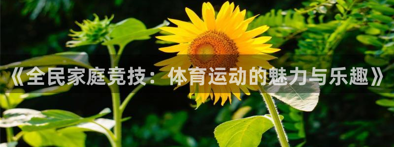 捷豹足球及时比分：《全民家庭竞技：体育运动的魅力与乐趣》
