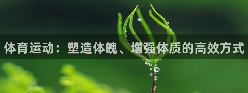 捷豹足球